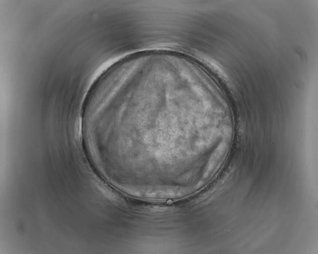 X0000113311324200910051055