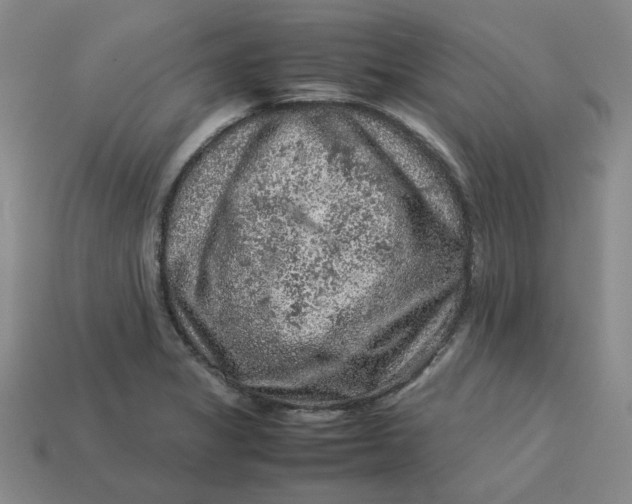 X0000113311325200910051055