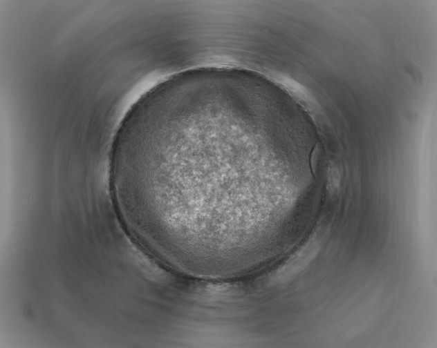 X0000113311326200910051055