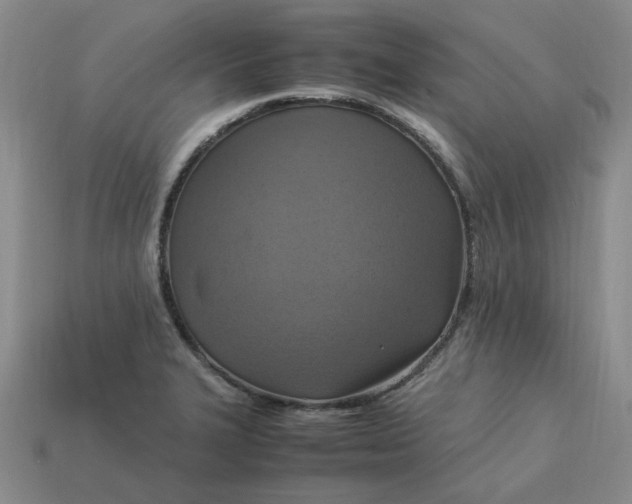 X0000113311327200910051055