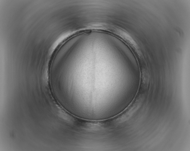 X0000113311328200910051055