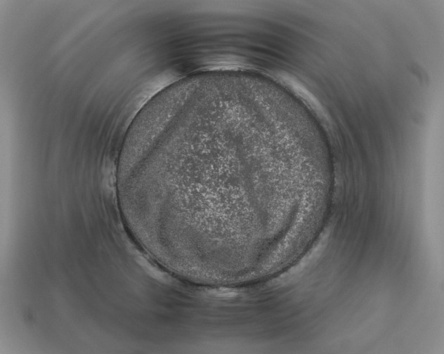 X0000113311329200910051055