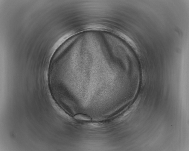 X0000113311330200910051055