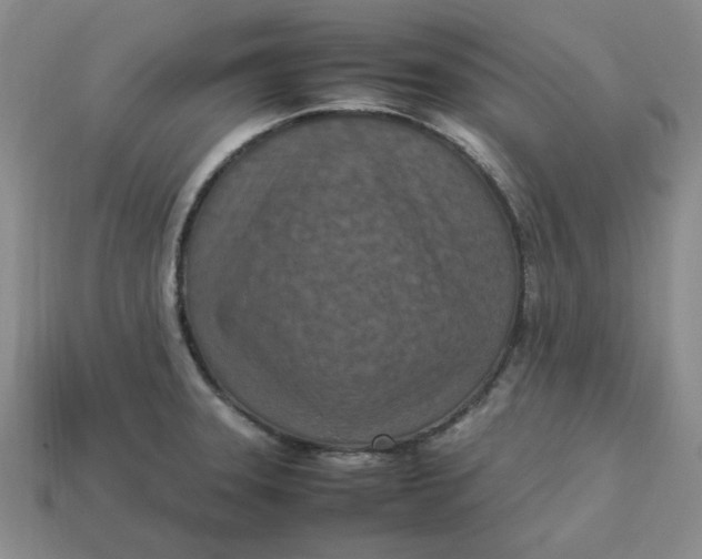 X0000113311331200910051055