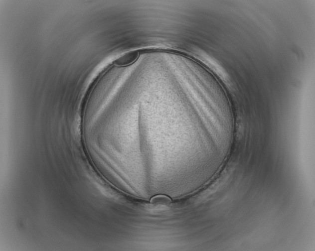 X0000113311332200910051055