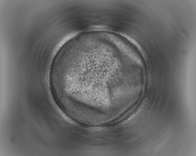 X0000113311333200910051055