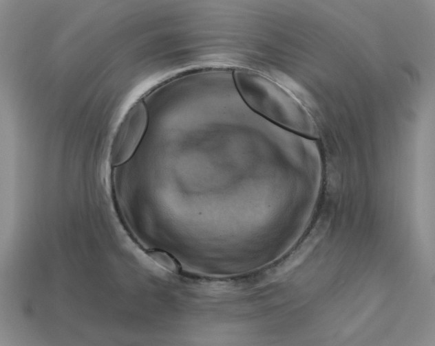 X0000113311334200910051055