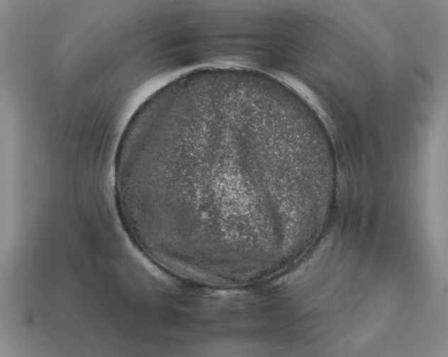 X0000113311335200910051055