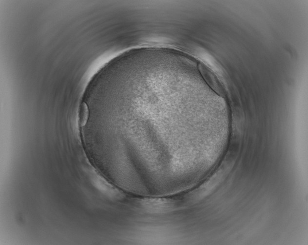 X0000113311336200910051055