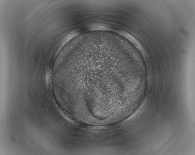 X0000113311337200910051055