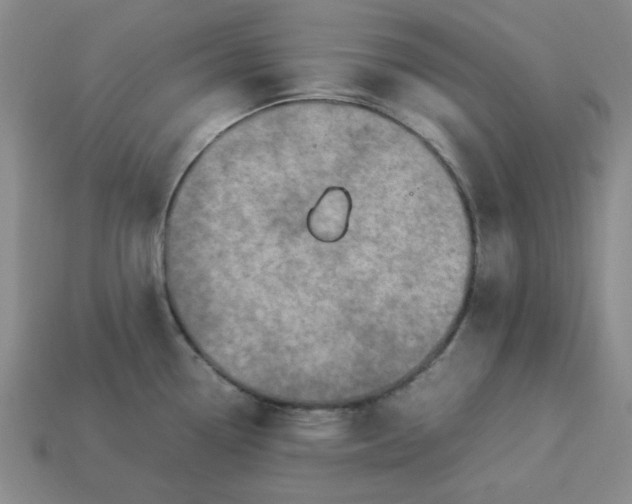 X0000113311338200910051055