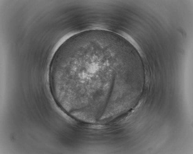 X0000113311339200910051055