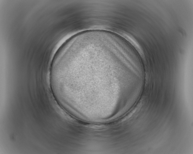 X0000113311340200910051055