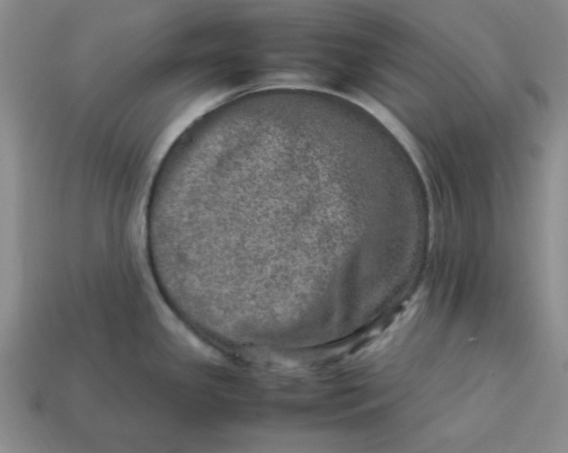 X0000113311341200910051055