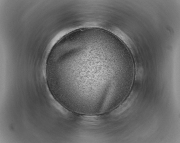 X0000113311342200910051055