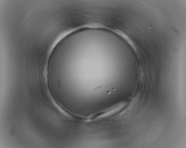 X0000113311343200910051055