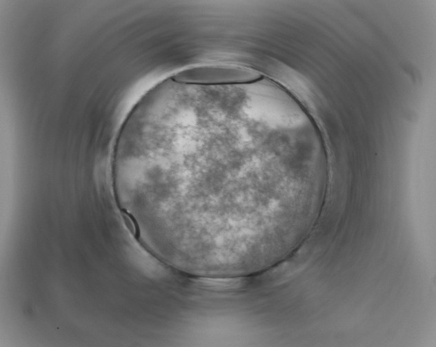 X0000113311344200910051055