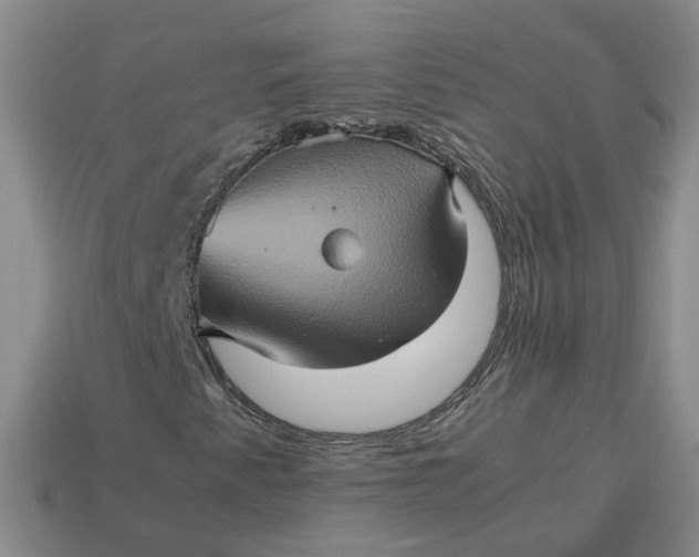 X0000113311345200910051055