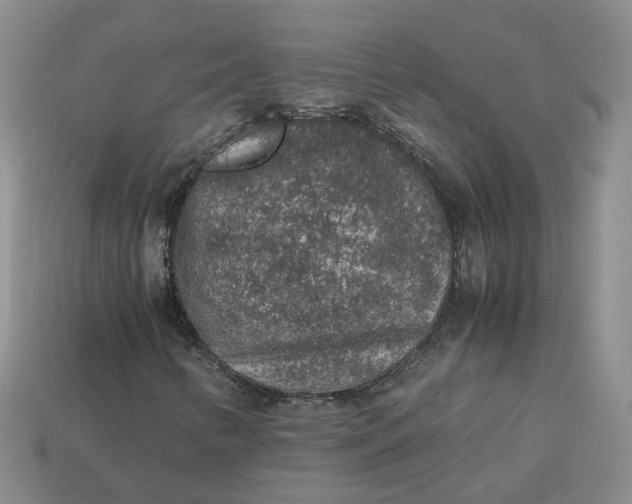 X0000113311346200910051055