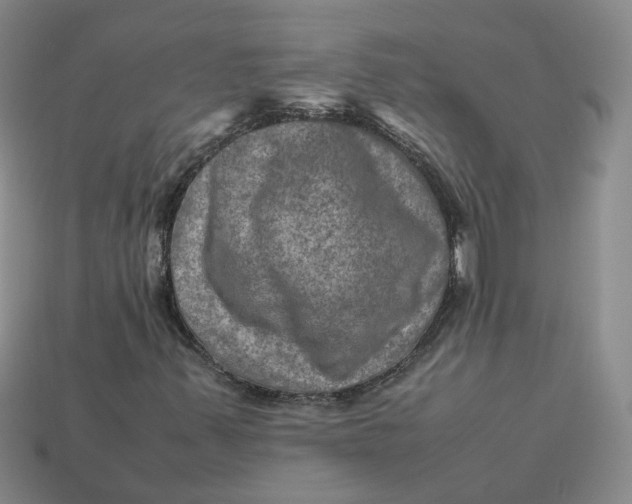 X0000113311347200910051055