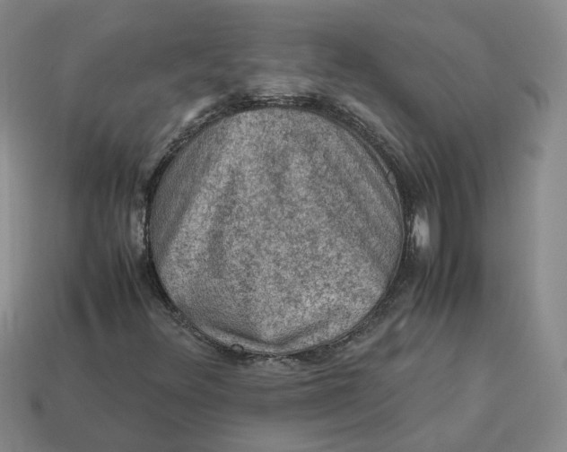 X0000113311348200910051055