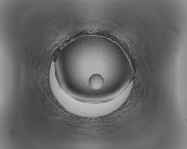 X0000113311349200910051055