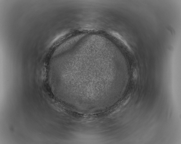 X0000113311350200910051055