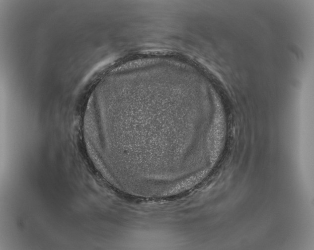 X0000113311351200910051055