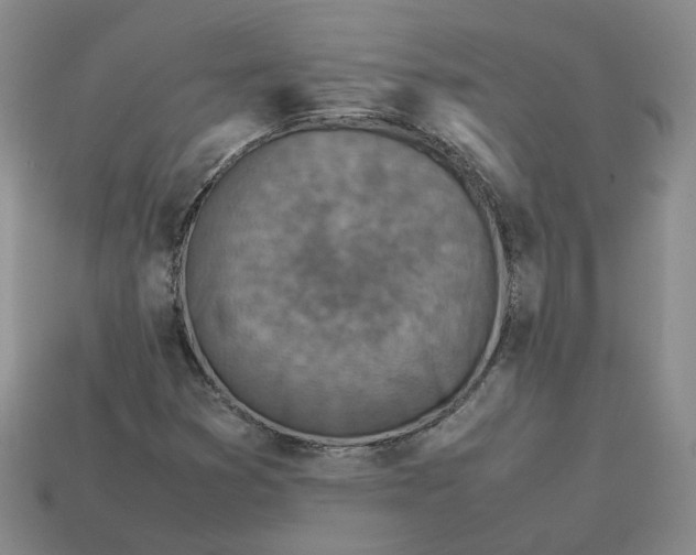 X0000113311353200910051055