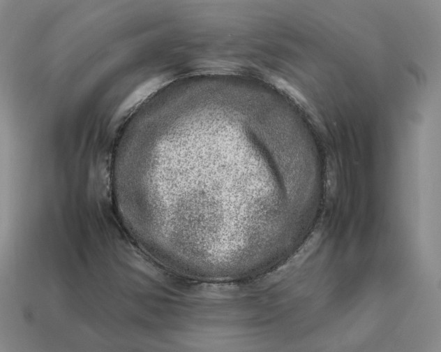 X0000113311354200910051055