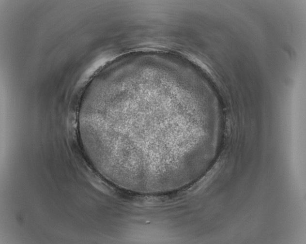 X0000113311355200910051055