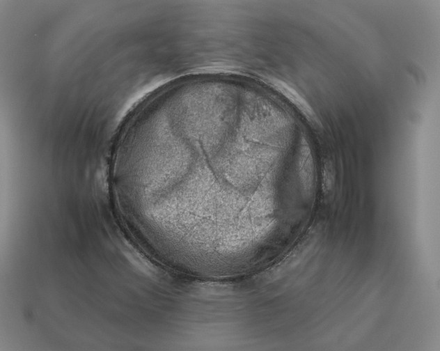 X0000113311356200910051055