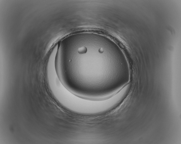 X0000113311357200910051055