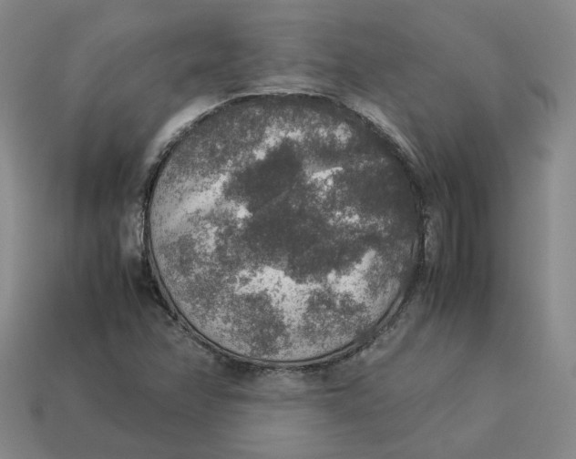 X0000113311358200910051054