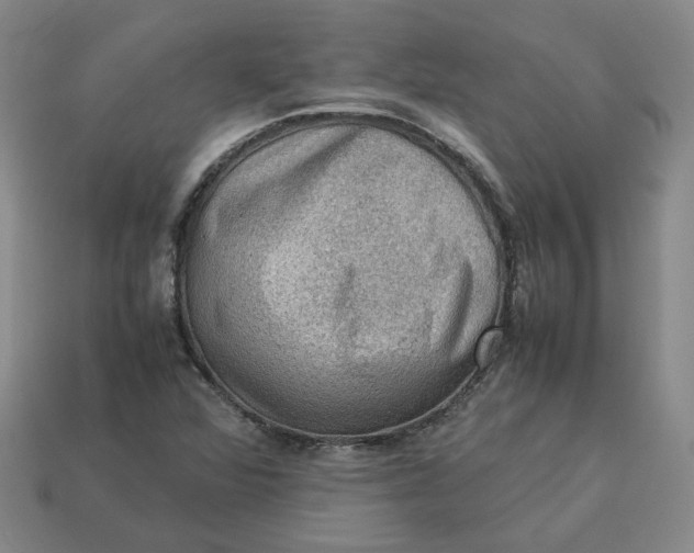 X0000113311360200910051054