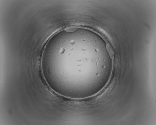 X0000113311361200910051054