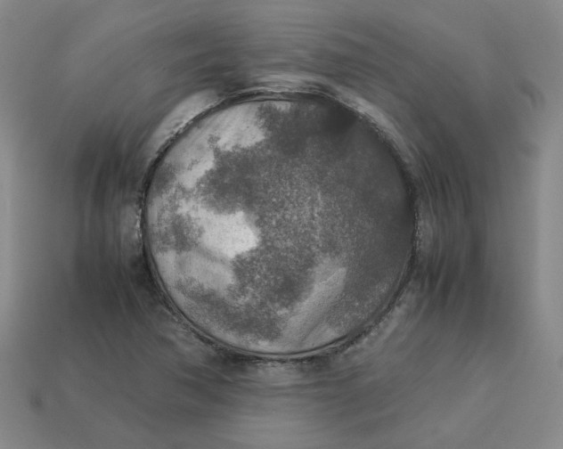 X0000113311362200910051054