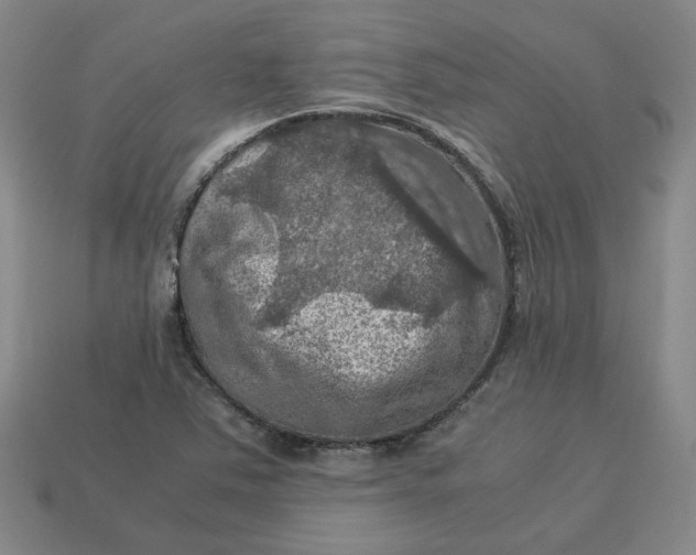 X0000113311363200910051054