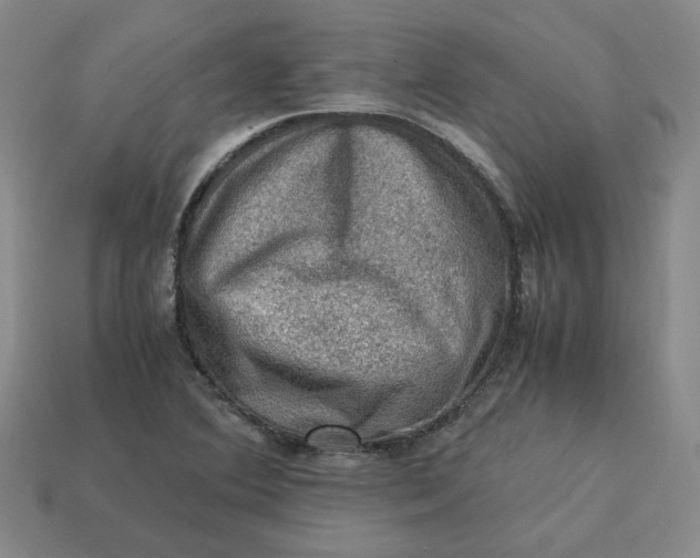 X0000113311364200910051054