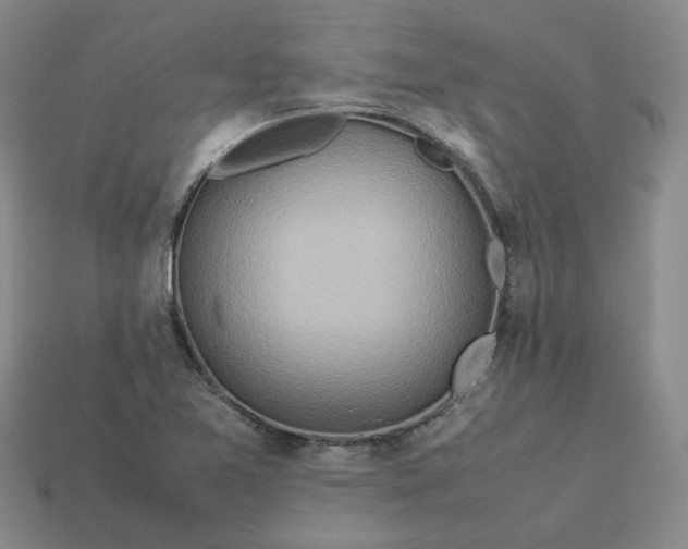 X0000113311365200910051054