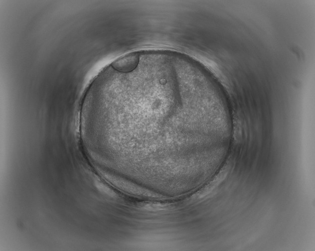 X0000113311366200910051054