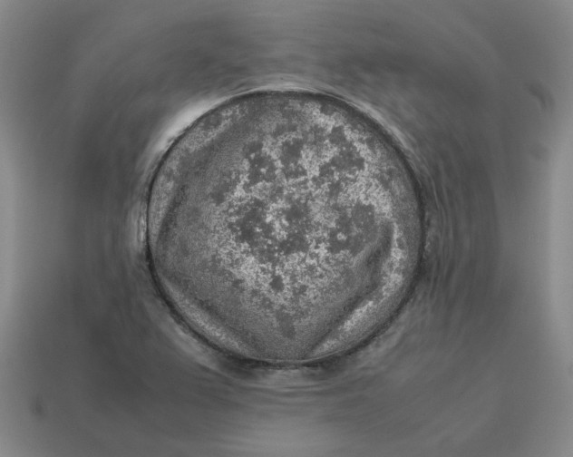 X0000113311367200910051054