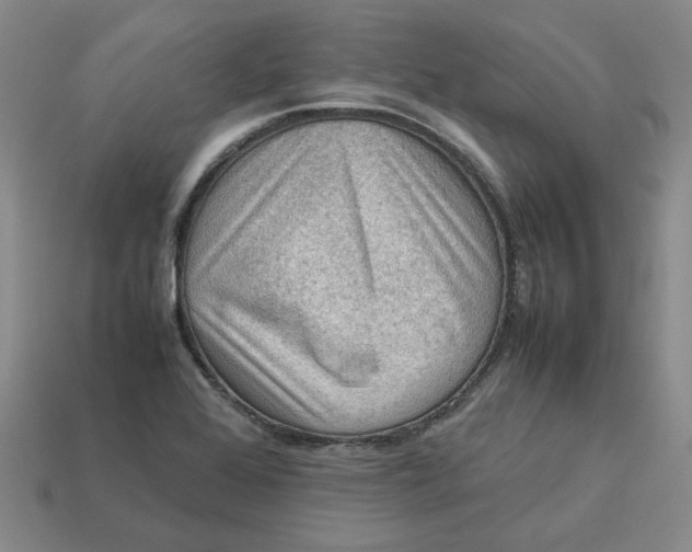 X0000113311368200910051054