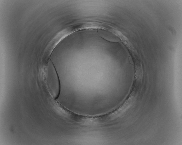 X0000113311369200910051054