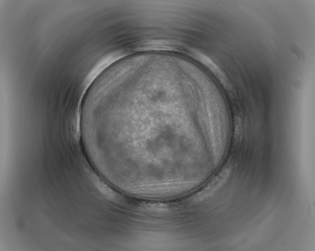 X0000113311370200910051054