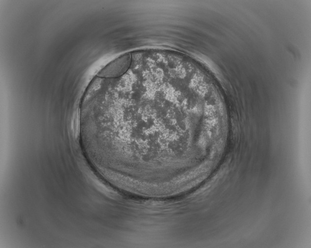 X0000113311371200910051054