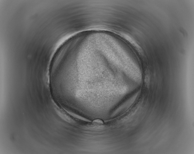 X0000113311372200910051054