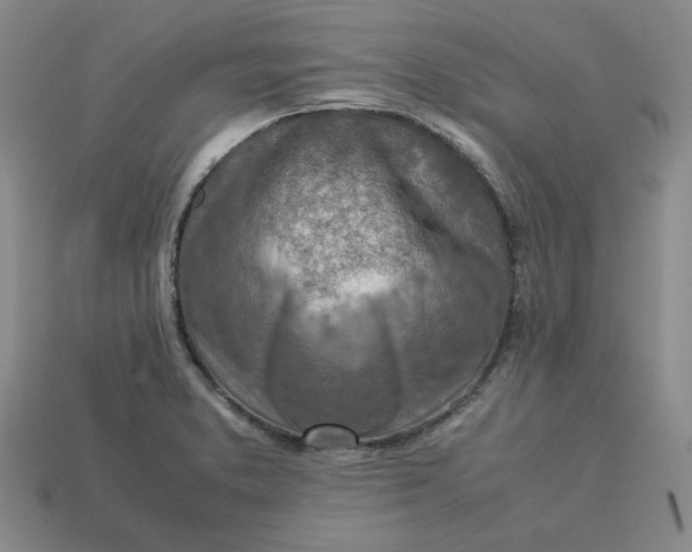 X0000113311373200910051054