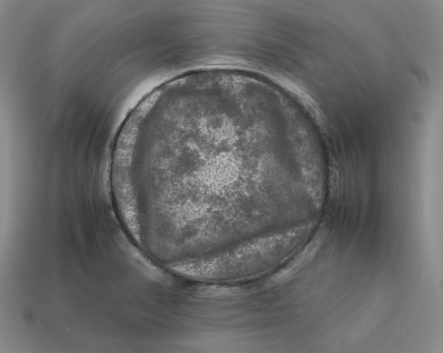 X0000113311374200910051054