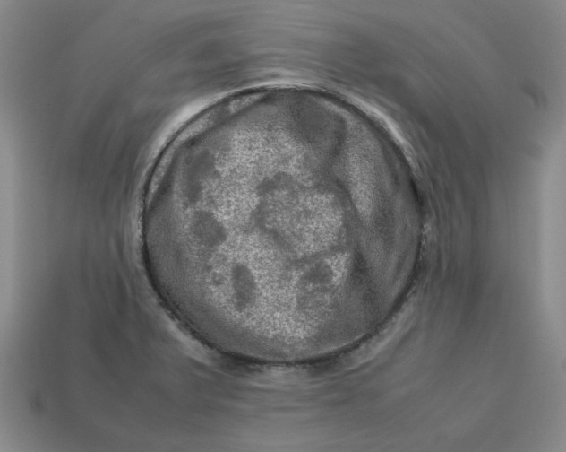 X0000113311375200910051054